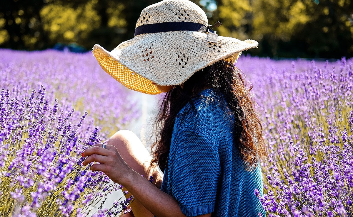 Why Lavender Oil Gets Deeply Under Your Skin