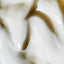Crème Visage